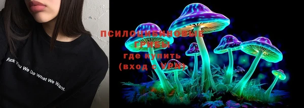 круглые Заволжск